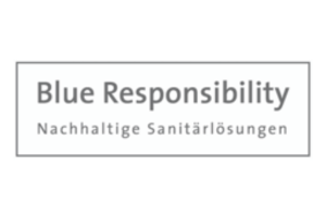 certificado blue responsability sanitarios